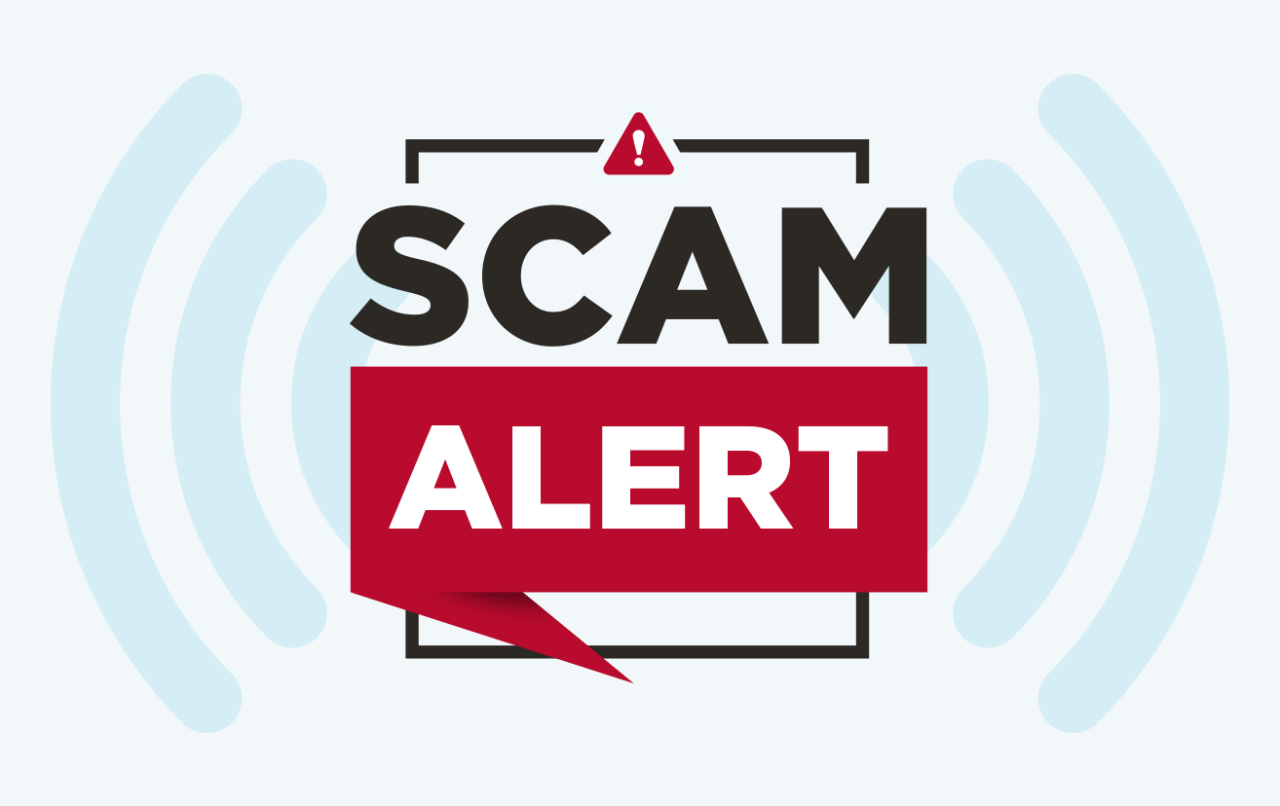 Spot The Scam - Digital Netsafety Week Alexandra
