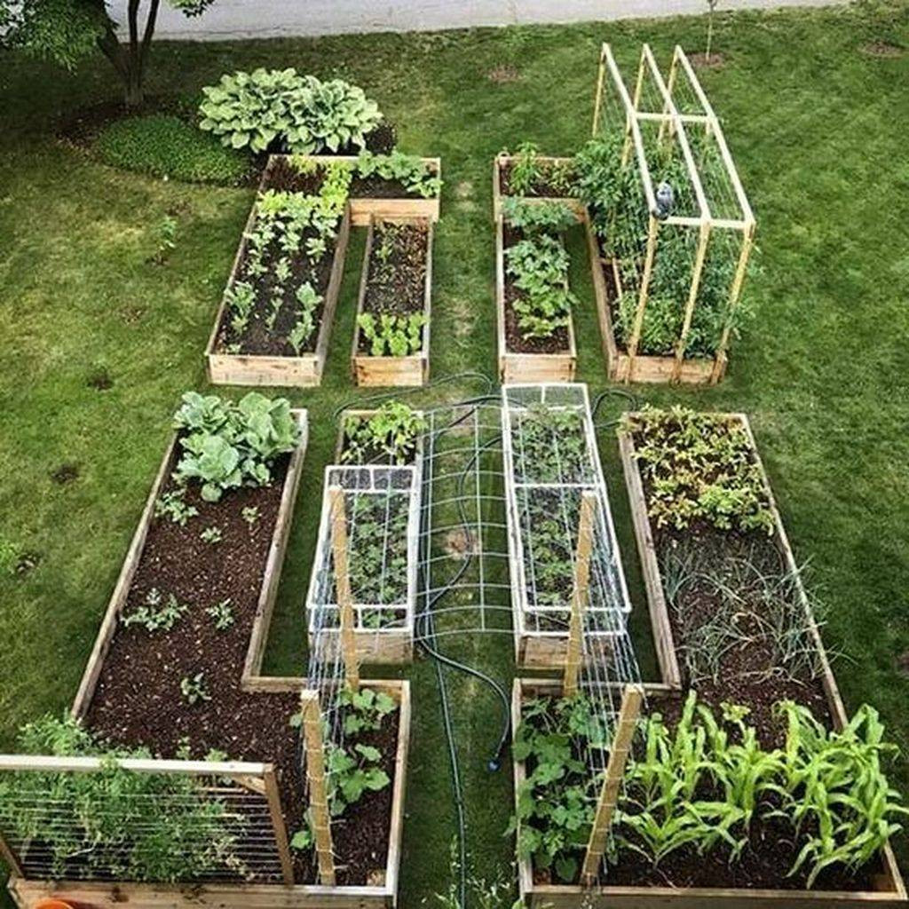 2. Garden to Plate: Māra (Garden) Workshop Two: Designing your Māra
