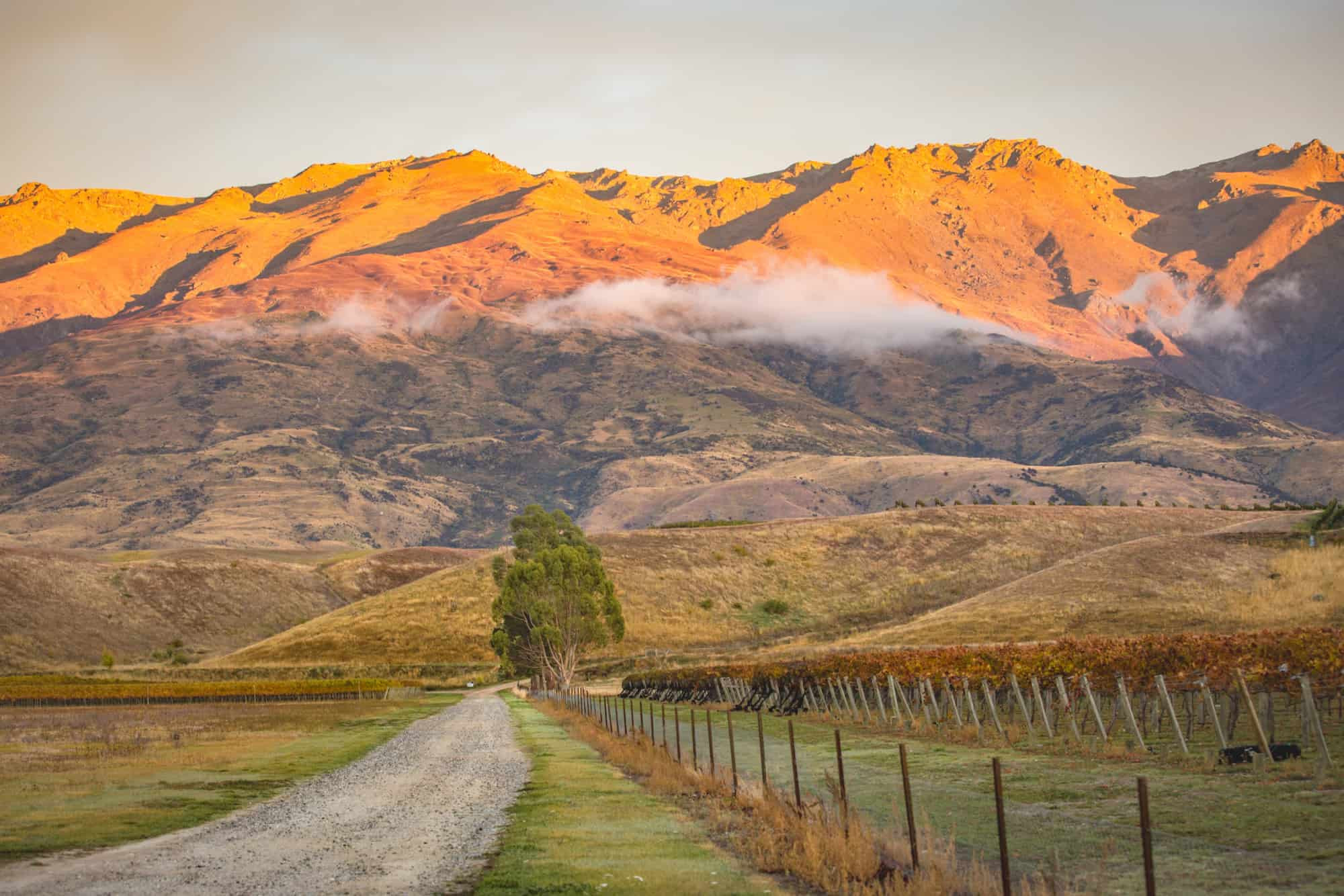 U3A Cromwell: My Career Journey to Central Otago - John Christie