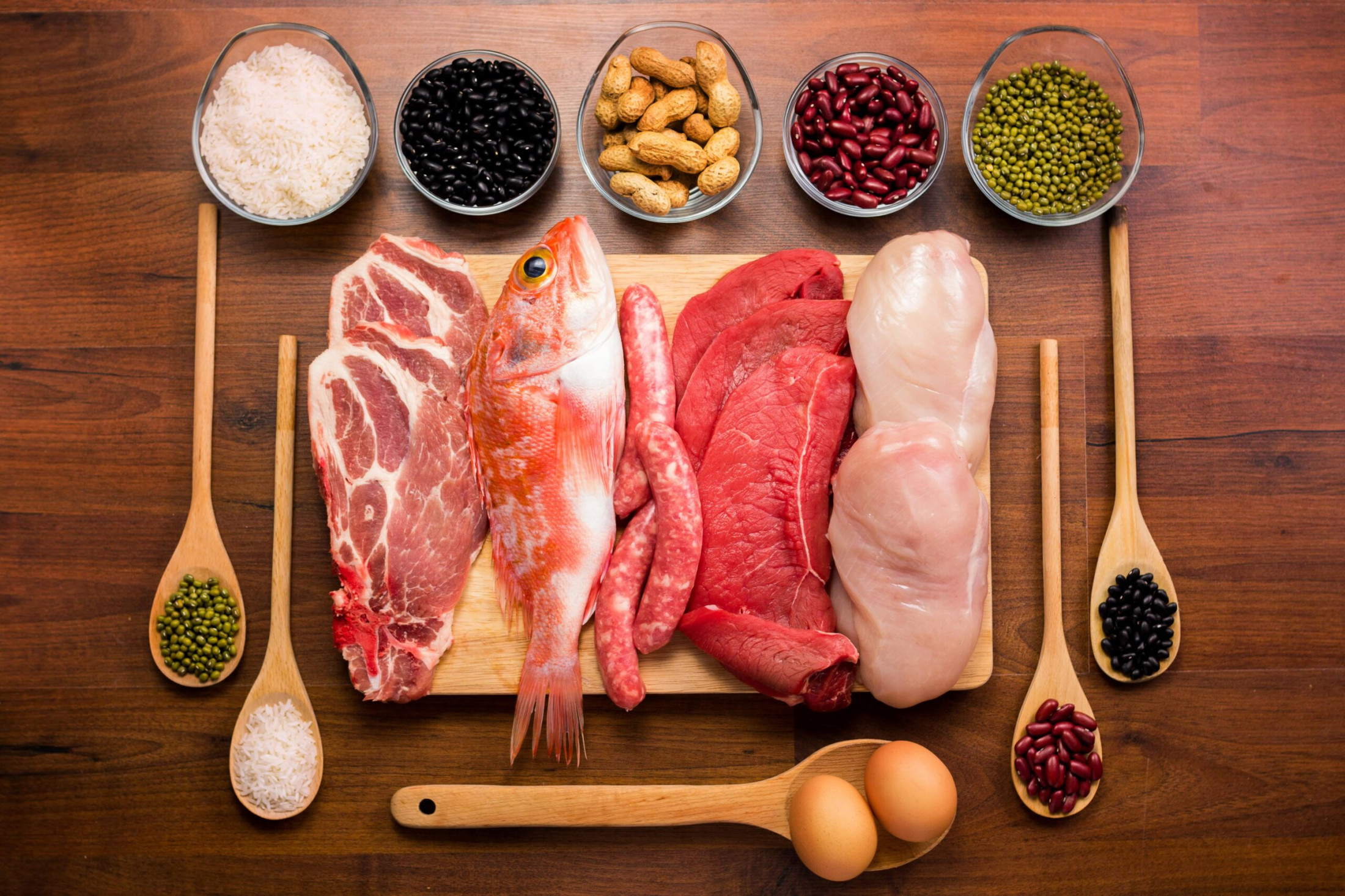 U3A Cromwell: Protein - Making Sense of The Fuss