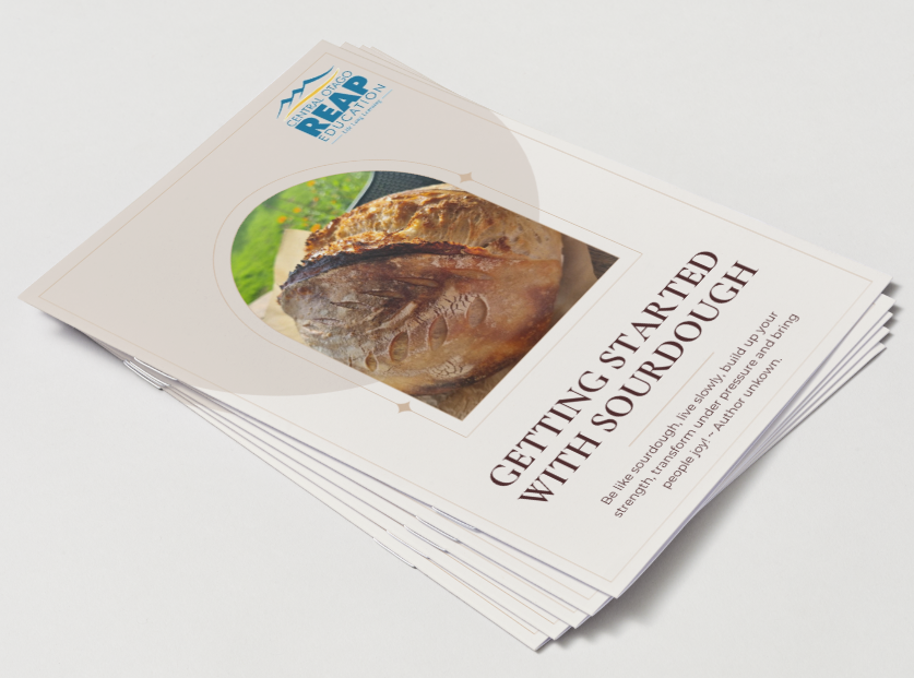 Sourdough Basics - Step by Step with Jess