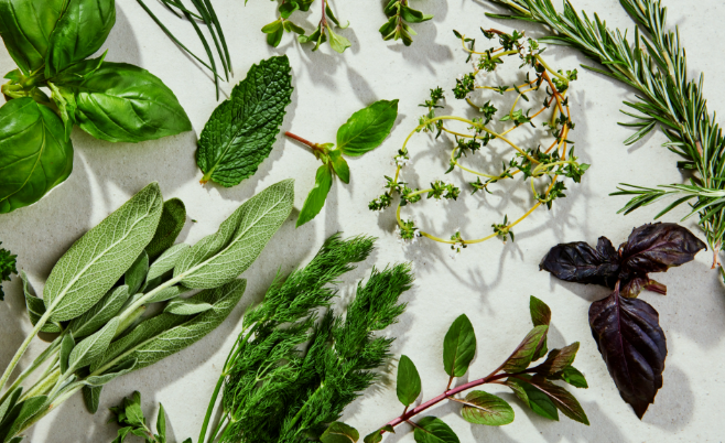1. Shared Garden: Forage and Harvest Workshop 16 Oct