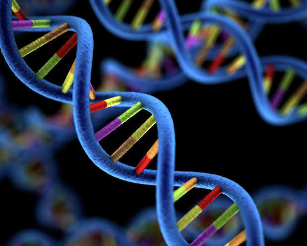 U3A Alexandra: Helping Things With Genomics