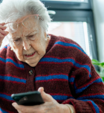 Online Safety - Frauds and Scams - Clyde Term 4